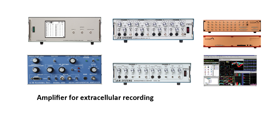 Amplifier-for-extracellular-recordings